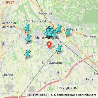 Mappa Via Antonio Vivaldi, 31044 Montebelluna TV, Italia (1.32133)
