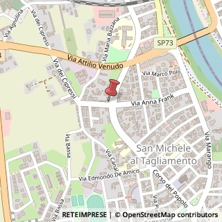 Mappa Via A. Bivi, 2, 30028 San Michele al Tagliamento, Venezia (Veneto)