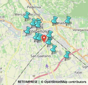 Mappa Via Maltoni Prof. Cesare, 31044 Montebelluna TV, Italia (1.42769)