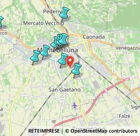 Mappa Via Maltoni Prof. Cesare, 31044 Montebelluna TV, Italia (2.1775)