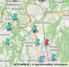 Mappa Strada Statale, 21040 Vedano Olona VA, Italia (2.99)