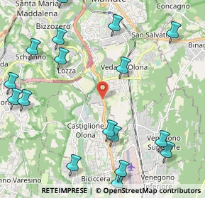 Mappa Strada Statale, 21040 Vedano Olona VA, Italia (2.982)