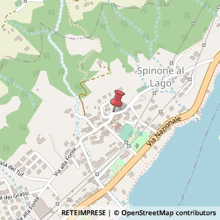 Mappa Via Goffredo Mameli, 2, 24060 Spinone al Lago, Bergamo (Lombardia)