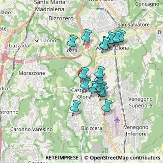 Mappa Via S. e P. Mazzucchelli, 21043 Castiglione Olona VA, Italia (1.54889)
