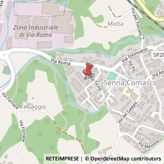 Mappa Via Roma, 21, 22070 Senna Comasco, Como (Lombardia)
