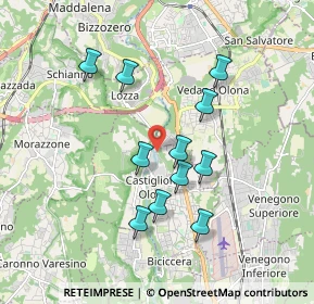 Mappa Via Benedetto Milani, 21043 Castiglione Olona VA, Italia (1.61455)