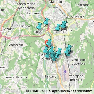 Mappa Via Benedetto Milani, 21043 Castiglione Olona VA, Italia (1.53)
