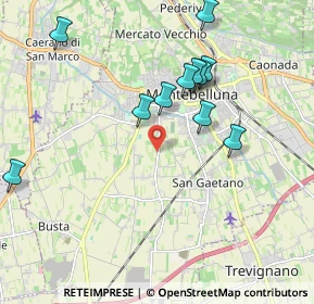 Mappa Vicolo Pivetta, 31044 Montebelluna TV, Italia (1.95818)