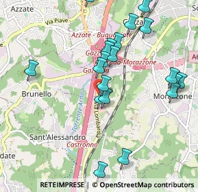 Mappa Via Gallarate, 21040 Gazzada Schianno VA, Italia (1.0295)