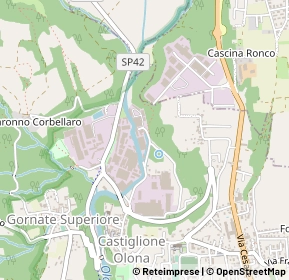 Mappa Via benedetto milani, 21043 Castiglione Olona VA, Italia (0.336)