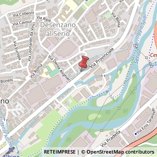 Mappa Via Provinciale, 49, 24021 Albino, Bergamo (Lombardia)
