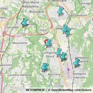 Mappa Via S. e P. Mazzuchelli, 21043 Castiglione Olona VA, Italia (2.25462)