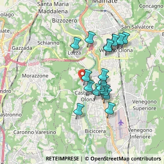Mappa Via S. e P. Mazzuchelli, 21043 Castiglione Olona VA, Italia (1.63111)