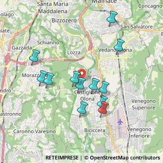 Mappa Via S. e P. Mazzuchelli, 21043 Castiglione Olona VA, Italia (1.79583)