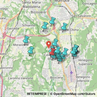 Mappa Via S. e P. Mazzuchelli, 21043 Castiglione Olona VA, Italia (1.6035)