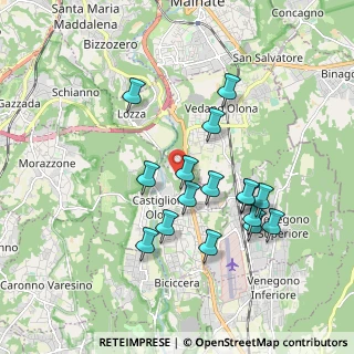 Mappa Via Piave, 21043 Castiglione Olona VA, Italia (1.71563)