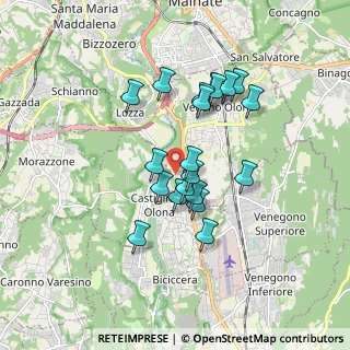 Mappa Via Piave, 21043 Castiglione Olona VA, Italia (1.447)