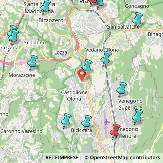 Mappa Via Piave, 21043 Castiglione Olona VA, Italia (3.13733)