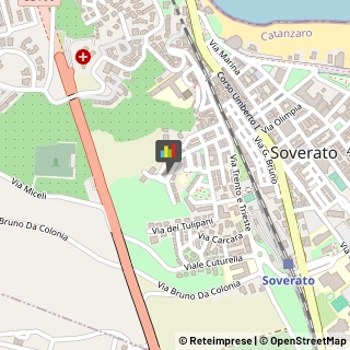 Commercialisti,88068Catanzaro