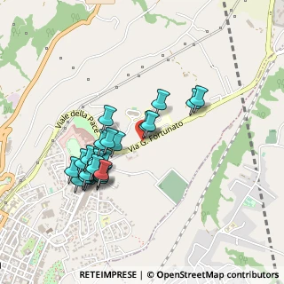 Mappa Via Giustino Fortunato, 89900 Vibo Valentia VV, Italia (0.46296)