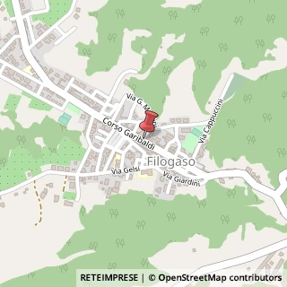 Mappa Corso Giuseppe Garibaldi, 100, 89843 Filogaso, Vibo Valentia (Calabria)