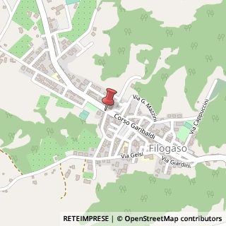 Mappa Via Convento, 4, 89843 Filogaso, Vibo Valentia (Calabria)