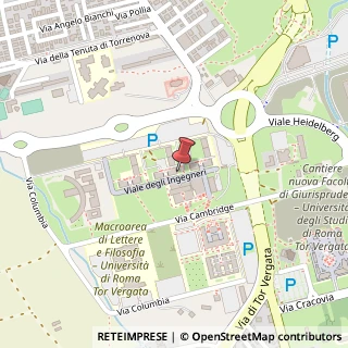 Mappa Via del Politecnico, 1, 00133 Roma, Roma (Lazio)