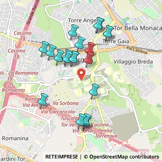 Mappa Via del Politecnico, 00100 Roma RM, Italia (0.9985)