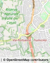 Piazza Certaldo, 49,00149Roma