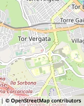 Via Venetico, 50,00132Roma