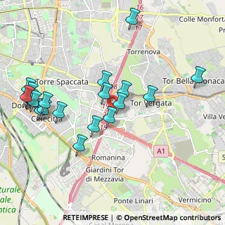 Mappa Via Tommaso Piroli, 00133 Roma RM, Italia (2.339)
