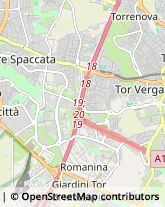 Agenzie di Animazione e Spettacolo Roma,00133Roma