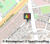 Consulenza Commerciale Roma,00147Roma