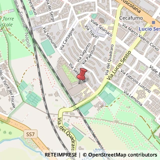 Mappa Via Selinunte, 49, 00174 Roma, Roma (Lazio)
