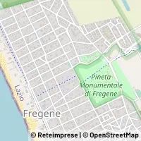 Map Fiumicino