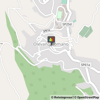 Veterinaria - Ambulatori e Laboratori Olevano Romano,00035Roma