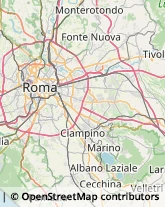 Smaltimento e Trattamento Rifiuti - Servizio Roma,00185Roma