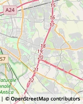 Smaltimento e Trattamento Rifiuti - Servizio Roma,00132Roma