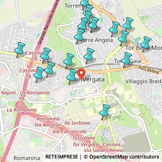 Mappa Via Crespi Benigno, 00133 Roma RM, Italia (1.3075)