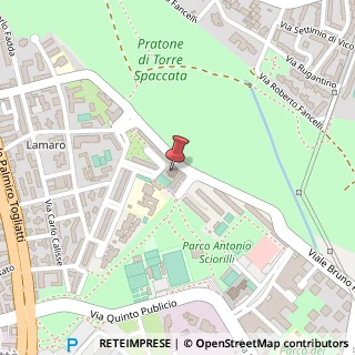 Mappa Piazza Salvatore Galgano, 100, 00173 Roma, Roma (Lazio)