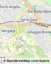 Viale Duilio Cambellotti, 133,00133Roma