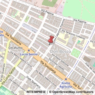 Mappa Via Calpurnio Fiamma, 45, 00175 Roma, Roma (Lazio)