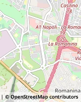 Via Salvatore Barzilai, 153,00173Roma