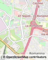 Viale Antonio Ciamarra, 178,00173Roma