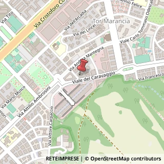 Mappa Viale del Caravaggio, 39, 00147 Roma, Roma (Lazio)