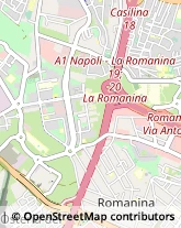 Via Cropani, 62,00118Roma