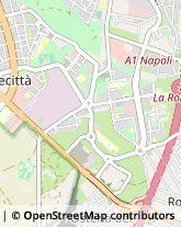 Articoli da Regalo - Dettaglio Roma,00173Roma