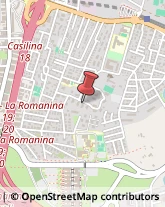 Via Fratelli Poggini, 52,00133Roma