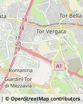 Feste - Organizzazione e Servizi Roma,00133Roma