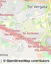 Via di Torrenova, 99,00133Roma